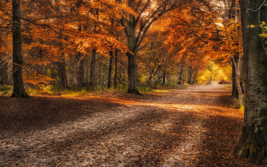 1358916 (a): :1920x1200